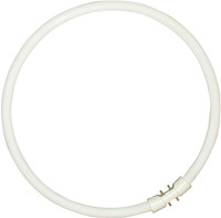 Osram Fluorescent T5 Circular 55W 4-Pin 830 Warm White Osram Fluorescent T5 Circular 55W 4-Pin 830 Warm White