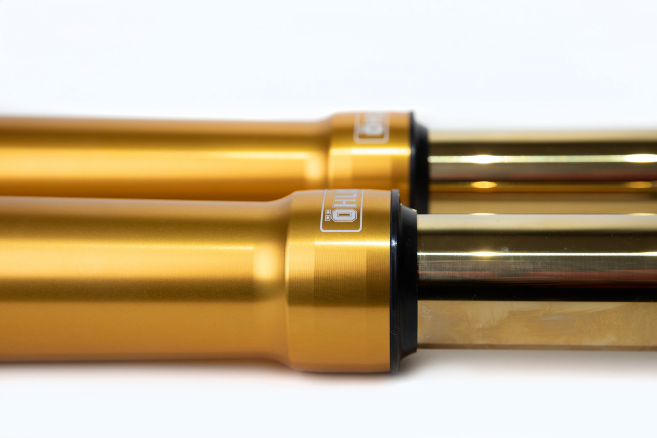 Ohlins FGRT 308 Inverted Front Forks (CVO Touring)