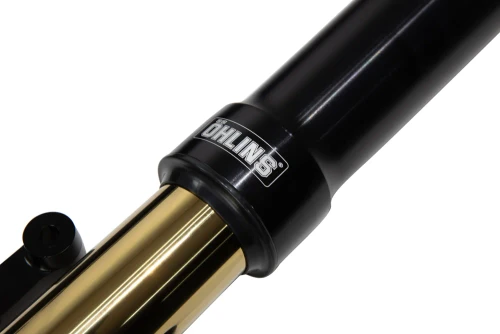 Ohlins FGRT 307 Blackline Inverted Front Forks (CVO Touring)