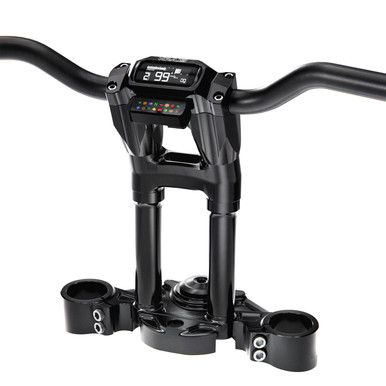 Road Glide Wolf One Digital 10