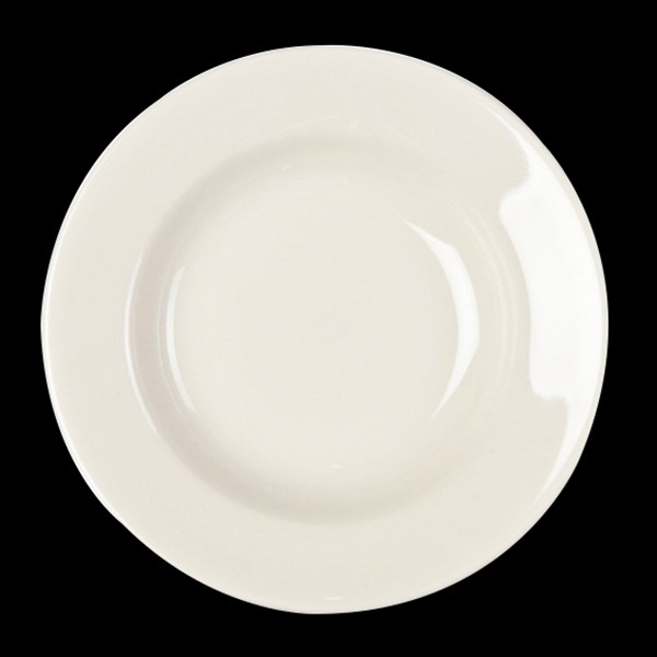 STEELITE - SOUP BOWL HOMER W/ DBL LINE RIM 9" / 24