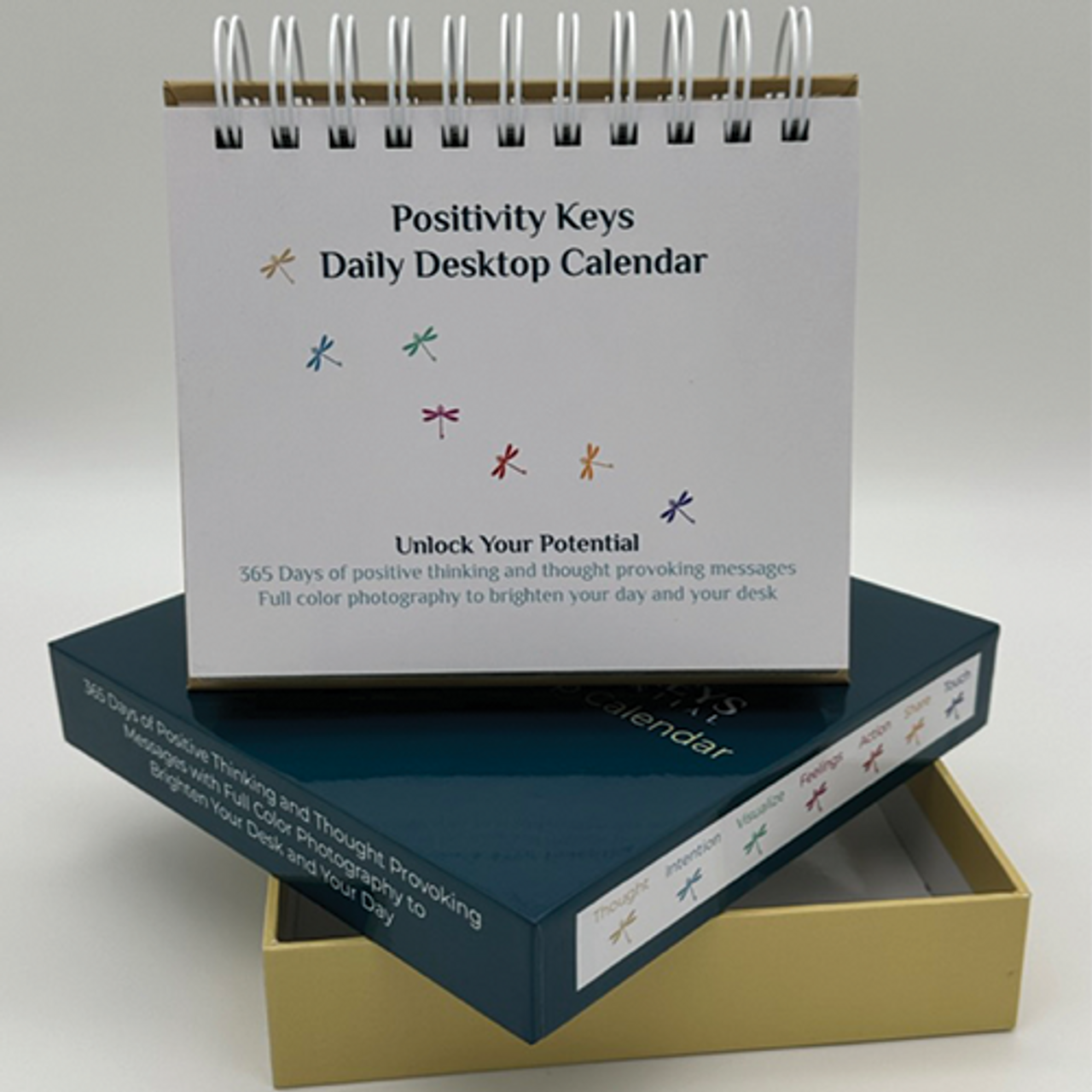 2024 365 Days Of Positivity Box Daily Desk Calendar