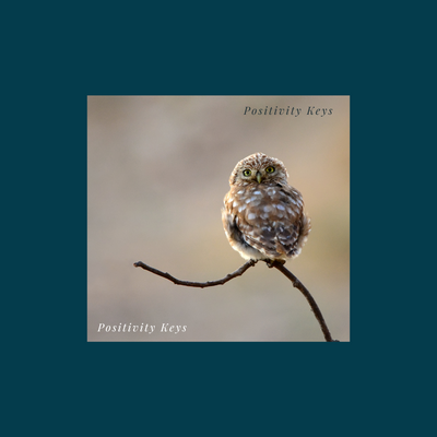 From Vision to Victory: How Visualization Turns Dreams into Action