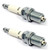 Champion Genuine Spark Plug RC12YC (2 Pack) Copper Plus 71 (4-Cycle Engines)