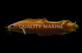 Cusk Eel