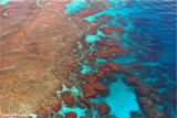 Unlocking the secrets of natural reef recovery