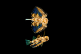 Flying Gurnard  