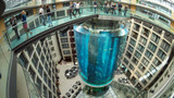 Berlin Hotel’s Huge Aquarium Bursts, With 1,500 Fish Inside