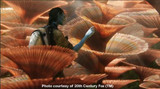 Avatar Impresses With Stunning Displays...of Coral?