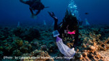 Palau Reefs Tolerant to Extreme Marine Heatwaves, New Study Reveals