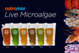 Make Your Aquarium Thrive with Nutramar Live Foods