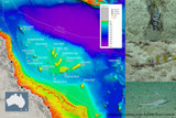 New records of fishes from the Coral Sea Marine Park, Australia