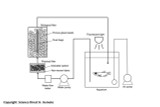 Filtration - Back to Biological Basics