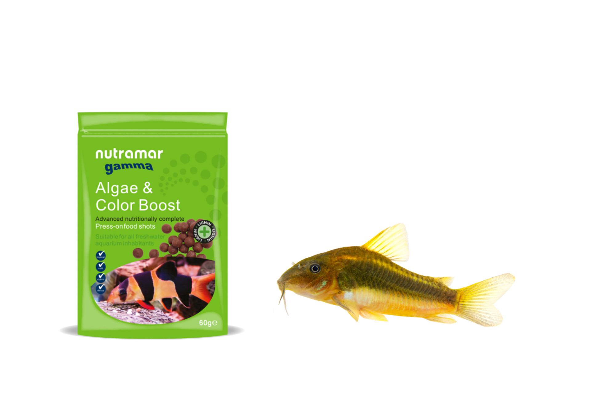 Let's Feed Freshwater Shots! thumbnail image