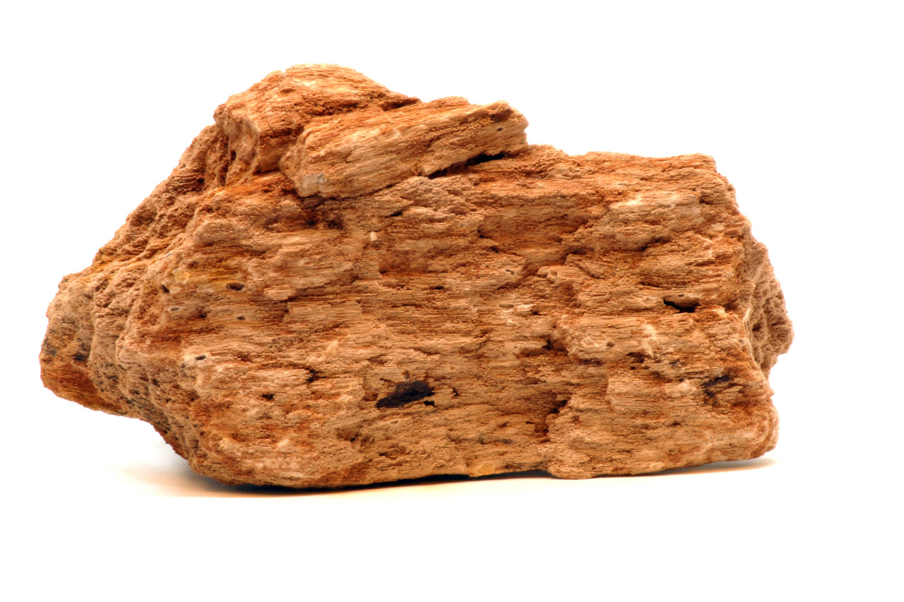 Ecoscape Canyon Fossil Rock thumbnail image