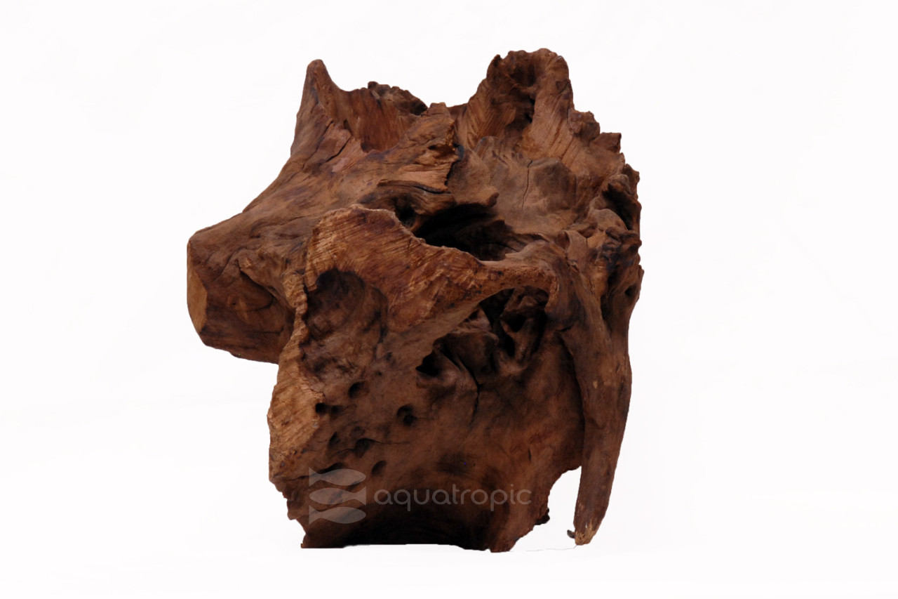 Ecoscape Trunk Wood thumbnail image