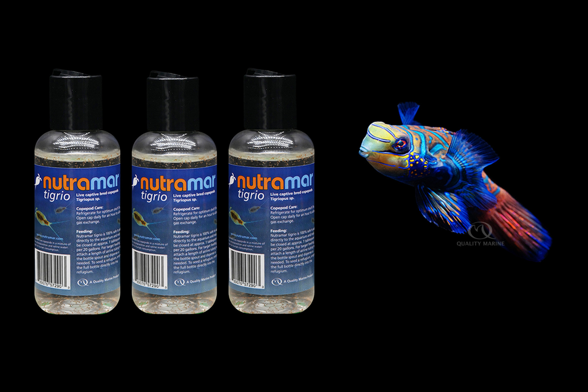The Terrific Tigrio Tank thumbnail image
