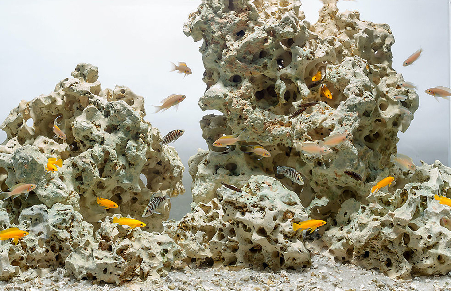 Moonstone thumbnail image