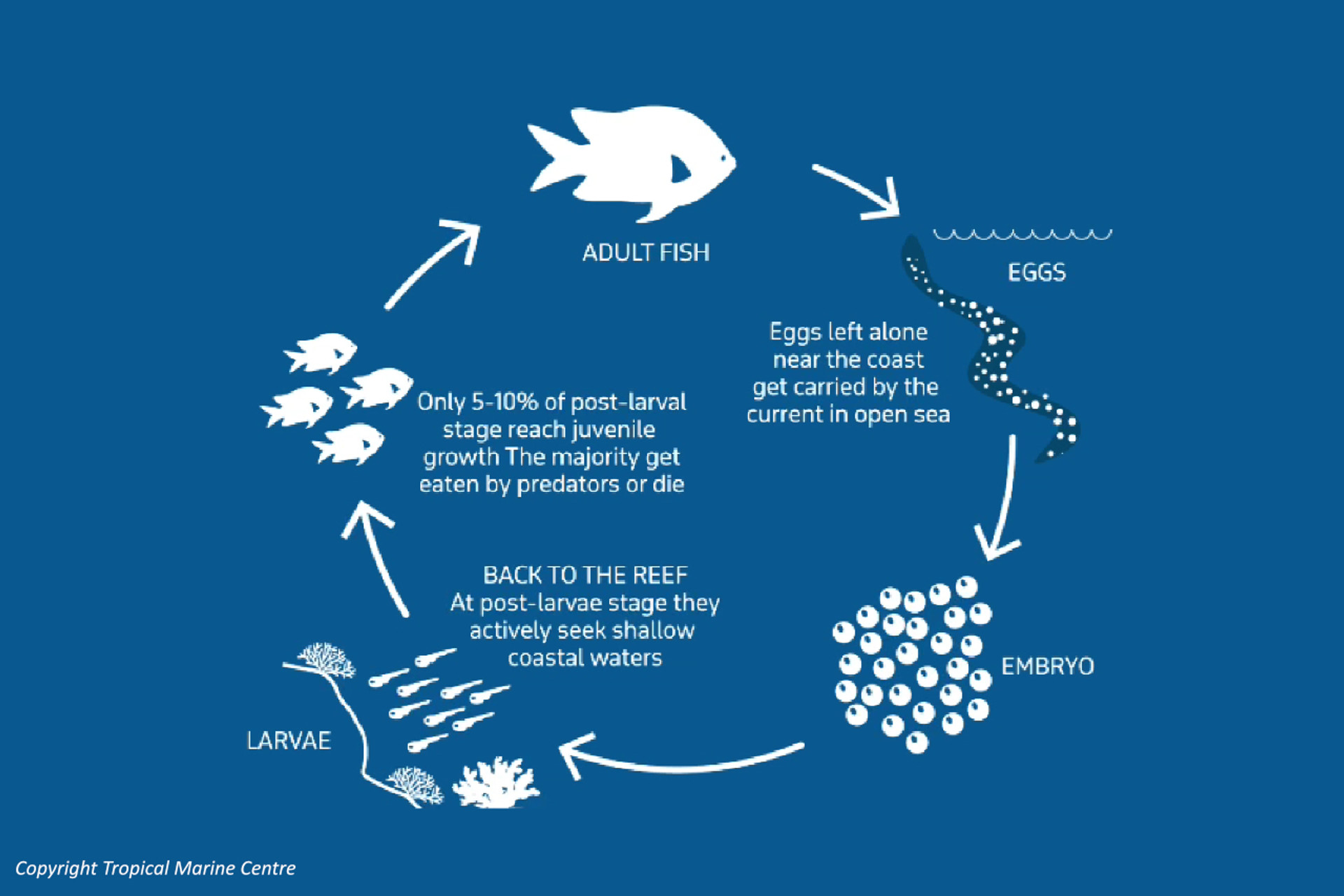 Quality Marine Supports Ranched Marine Species (Post-Larval Capture and Culture: PCC) thumbnail image