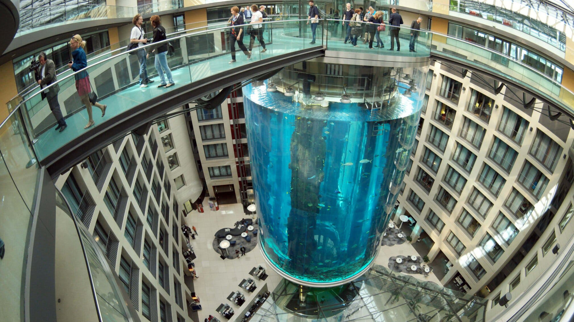 Berlin Hotel's Huge Aquarium Bursts, With 1,500 Fish Inside - Quality Marine