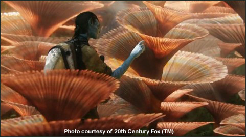 Avatar Impresses With Stunning Displays...of Coral? thumbnail image