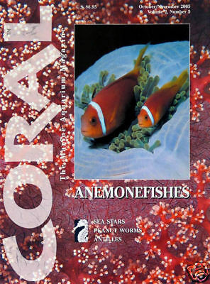 Coral Magazine - Interview w/ Chris Buerner thumbnail image