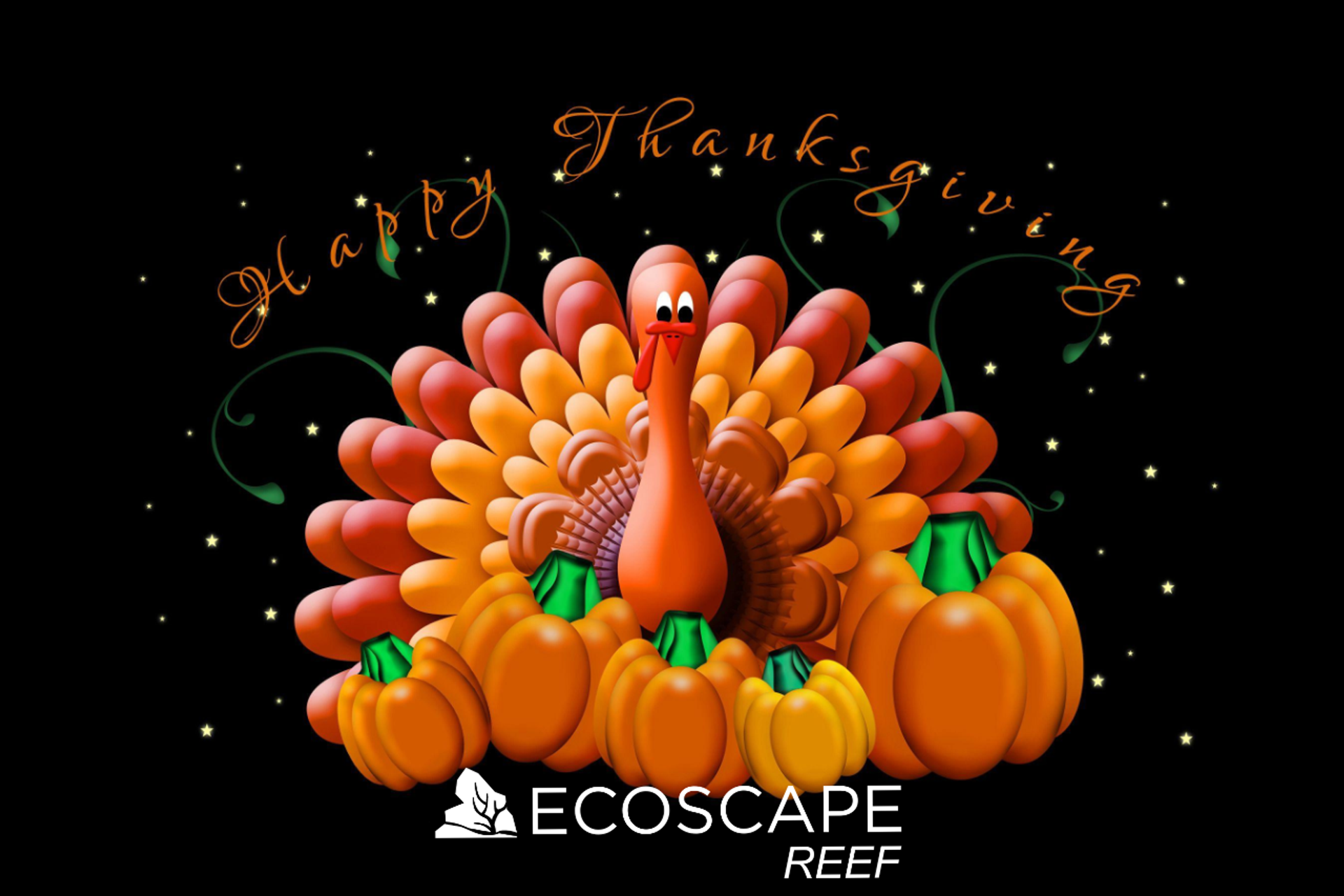 Happy Thanksgiving from Ecoscape thumbnail image