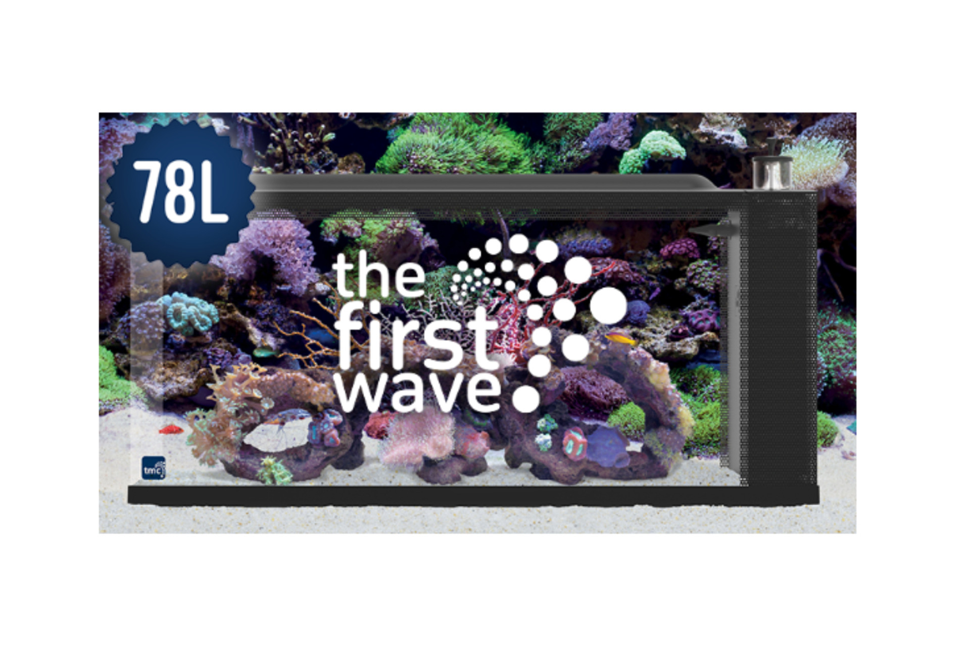 Get In on the First Wave Aquariums! thumbnail image