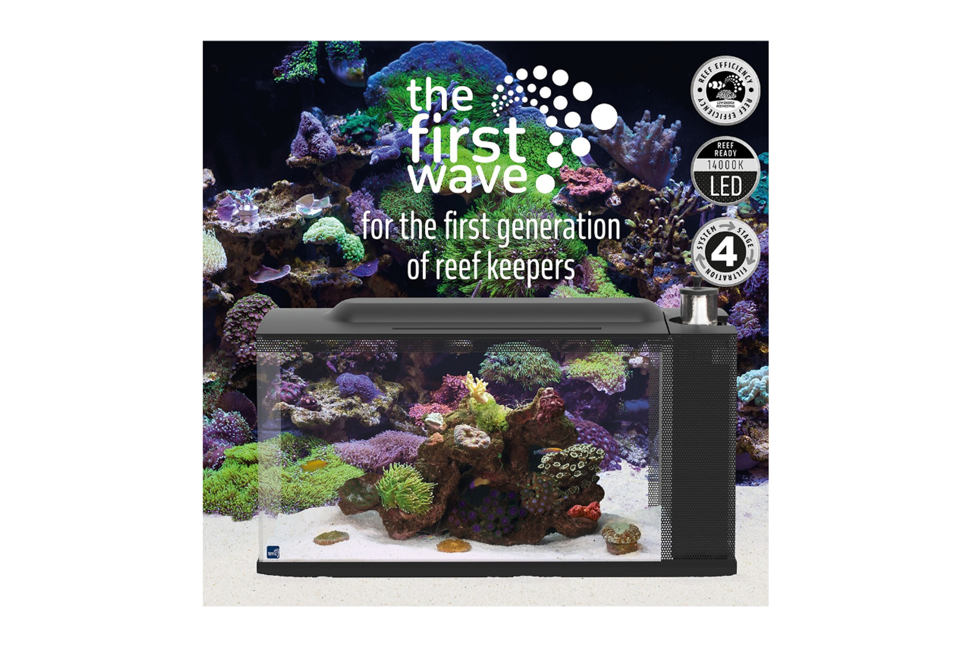 Get In on The First Wave! thumbnail image