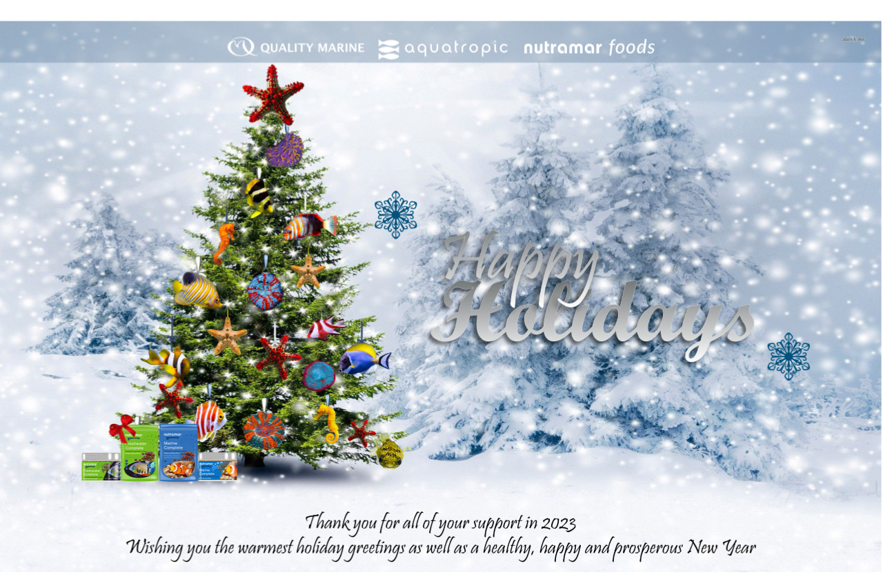 Wishing you a Happy Holiday and a joyful New Year thumbnail image