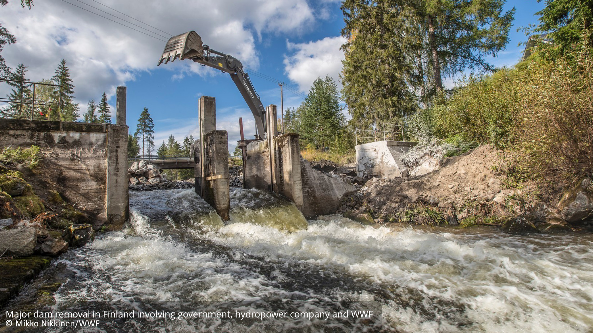 A fast, proven solution to enhance river health, build climate resilience, and benefit people and nature thumbnail image