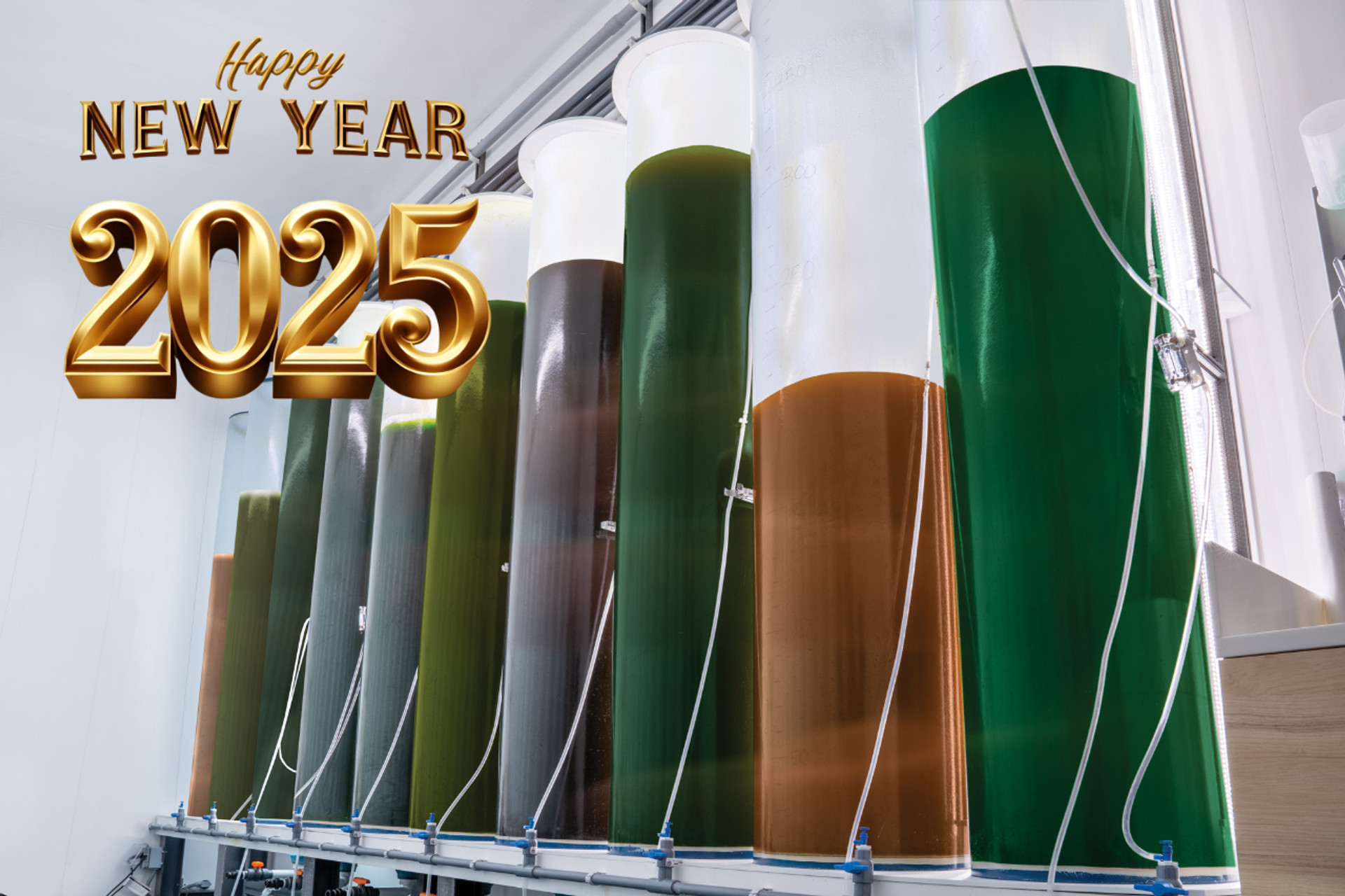 Happy New Year! thumbnail image