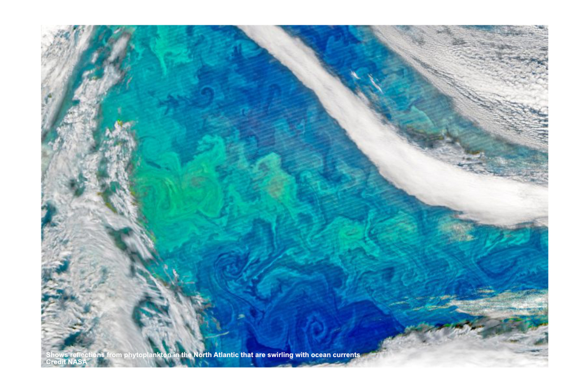 Frozen Time Capsule: 800-Year-Old Ice Core Reveals Surprising Truths About Ocean Life thumbnail image