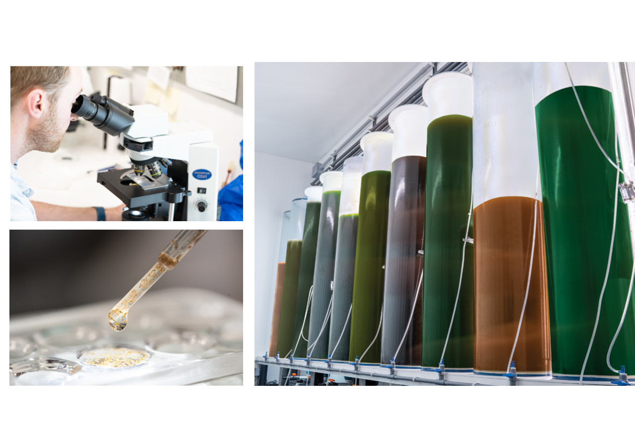 QM Labs Feeds Nutramar thumbnail image