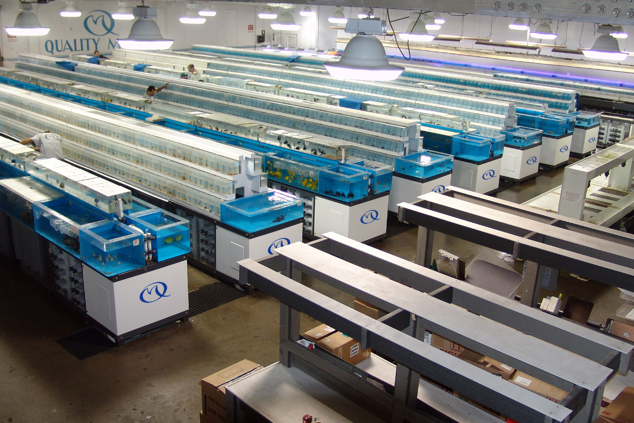 The Best In Biosecurity thumbnail image