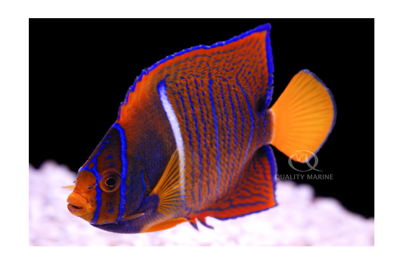 How Hard Is It Really? thumbnail image