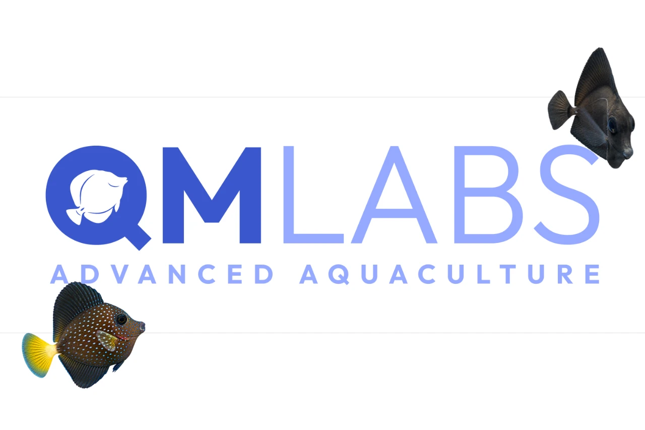 Advancing Aquarium Aquaculture in Pelagic thumbnail image