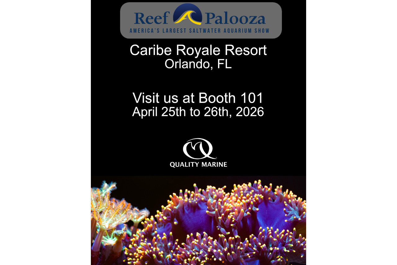 Quality Marine Exhibiting at Reefapalooza Orlando  thumbnail image