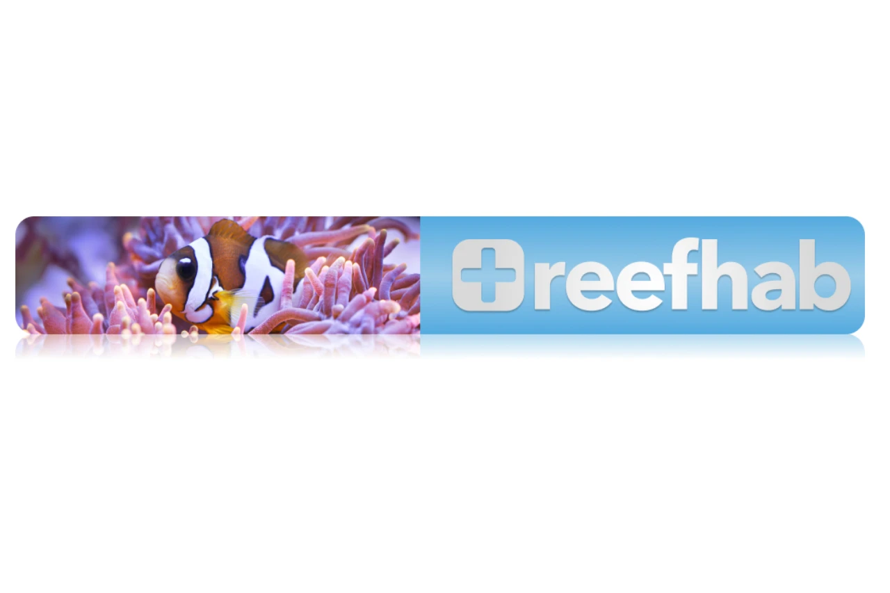 How We Support Reefs thumbnail image