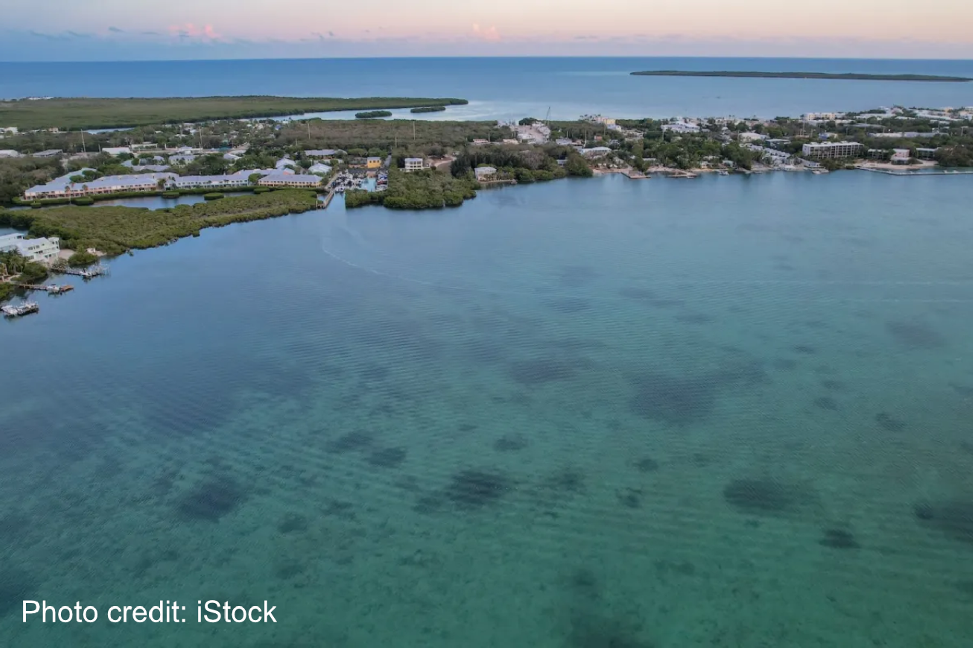 Scientists make stunning observation beneath waves off Florida island: 'We're doing something right' thumbnail image