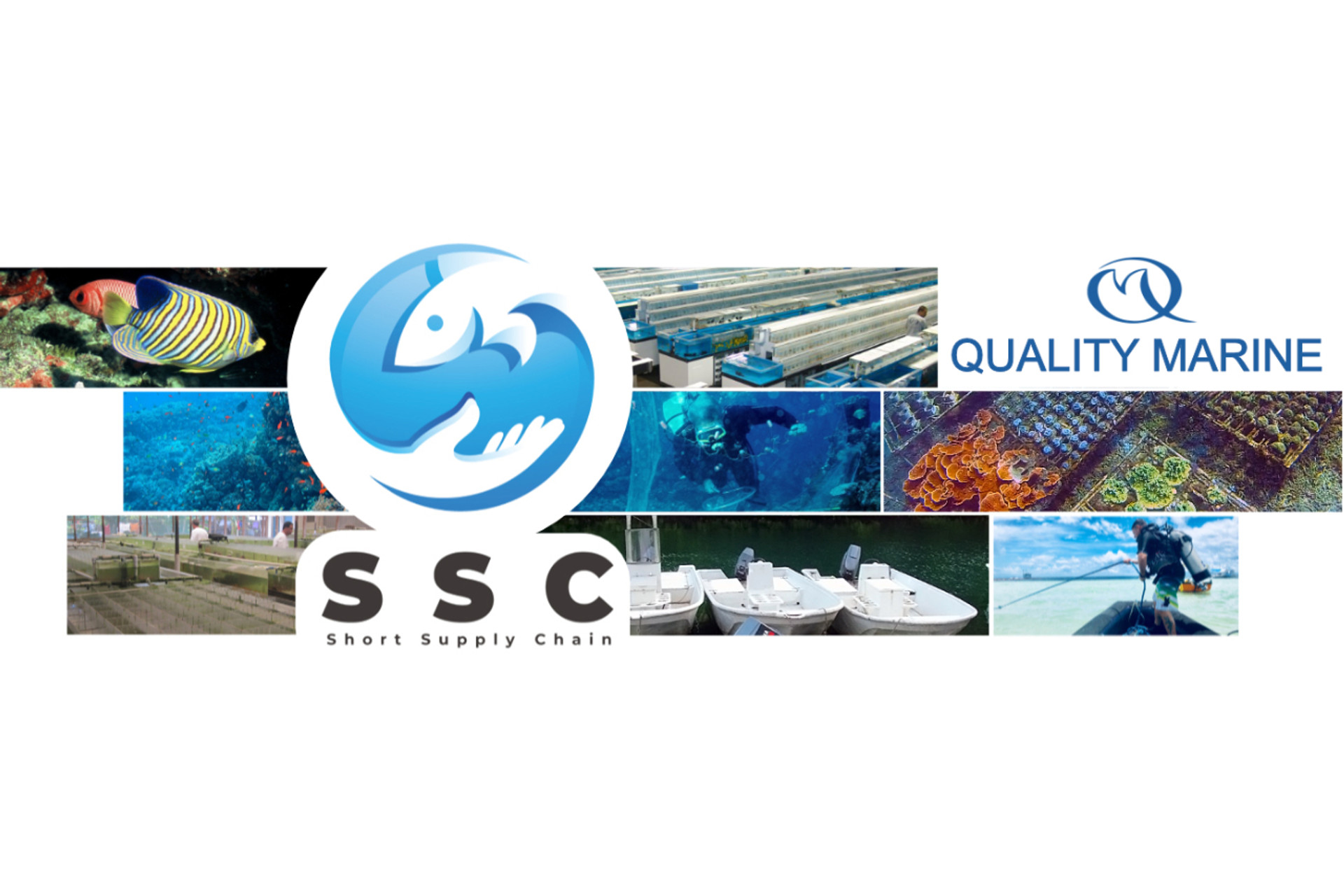 SSC For the Win thumbnail image