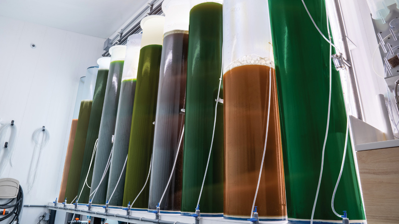 Better Nutrition Through Science! thumbnail image