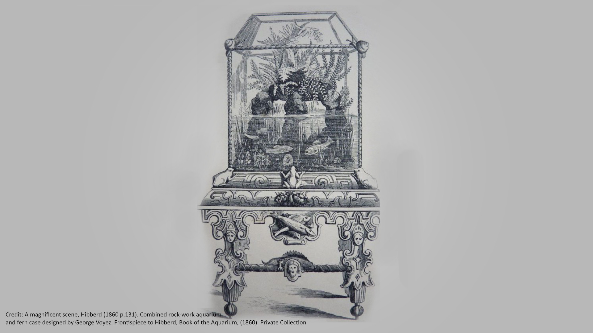 History Of Aquariums Quality Marine