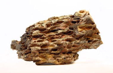 Dragon Stone Mix Case :: 0960321