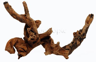Twisting Root Mix Case :: 0960591