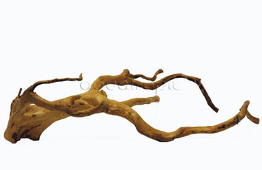 Wood Root Mix Case :: 0960601