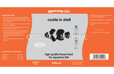 Gamma Cockle-In Shell Slice :: 0731220