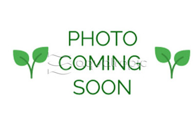 Juncus repens Cup AT :: 80562