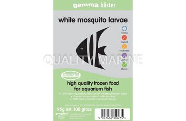 Blister Pack: White Mosquito Larvae (100G) :: 0729101