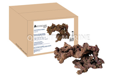 Ecoscape Reef Centerpiece 03 :: 0960495